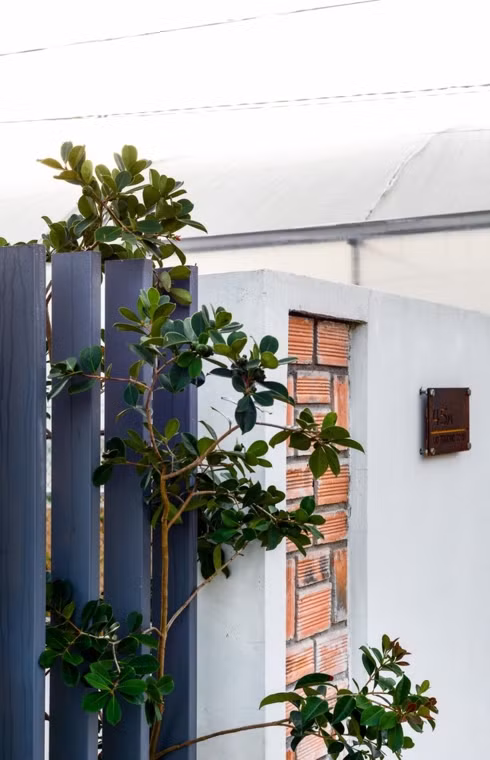 Cây cũng được trồng trên ban công giữ bầu không khí bên trong luôn xanh và yên bình.