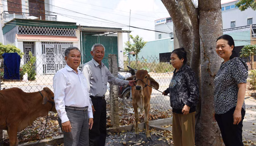 Đại diện Tỉnh hội trao bò giống cho gia đình người khuyết tật. Ảnh: Hà Phương