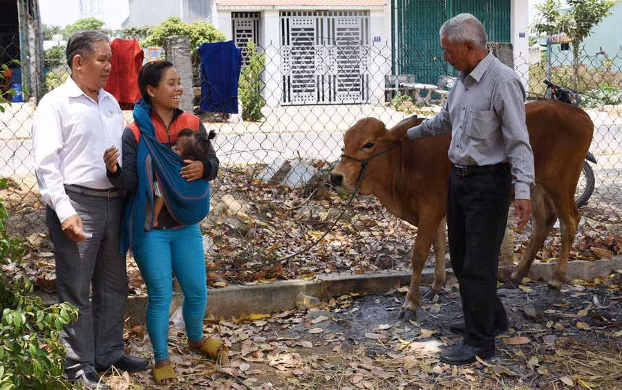 Đại diện Tỉnh hội, lãnh đạo huyện Đak Pơ trao bò cho gia đình người khuyết tật. Ảnh: Hà Phương