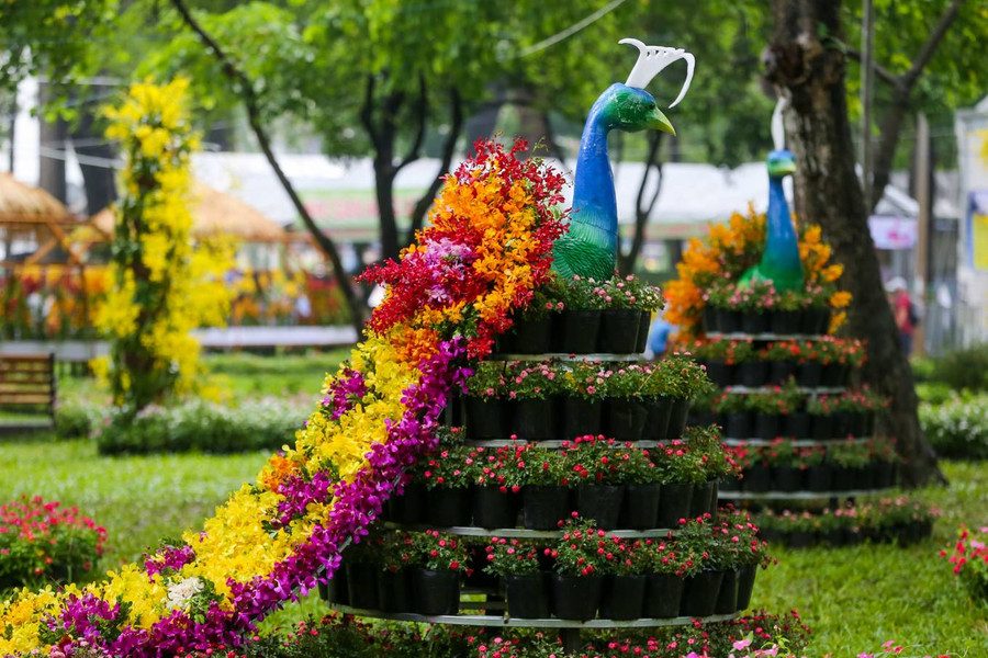 Những loài hoa lan nở rực rỡ, đủ màu sắc được các nghệ nhân trang trí thành hình chim công, thuyền buồm, bồ câu hòa bình...