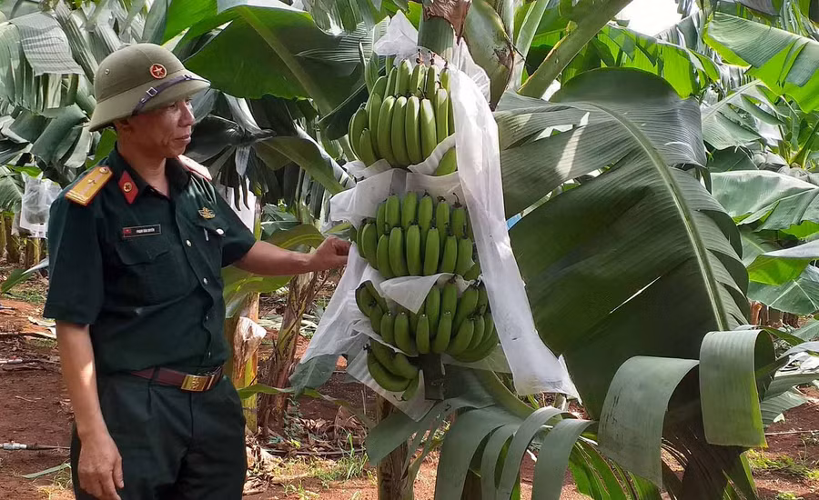 Ảnh: Hồng Thương