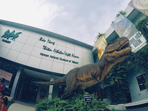 Mô hình khủng long khổng lồ là điểm nhấn thú vị đối với nhiều bạn nhỏ khi đến Bảo tàng Tự nhiên. Ảnh: NVCC. Mô hình khủng long khổng lồ là điểm nhấn thú vị đối với nhiều bạn nhỏ khi đến Bảo tàng Tự nhiên. Ảnh: NVCC.