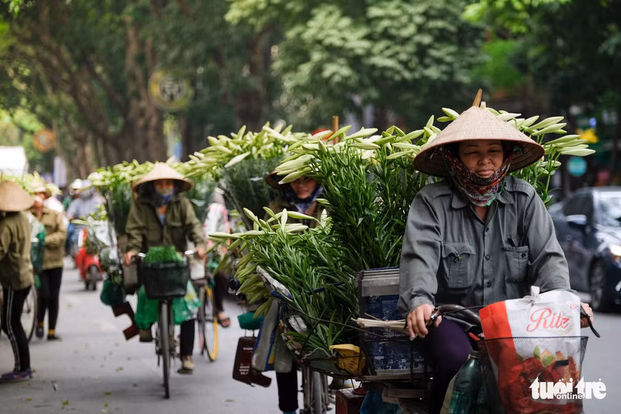 Các chị, các mẹ với nón lá, trên những chiếc xe đạp cũ mang đầy ắp những sắc hoa loa kèn tinh khôi vào phố