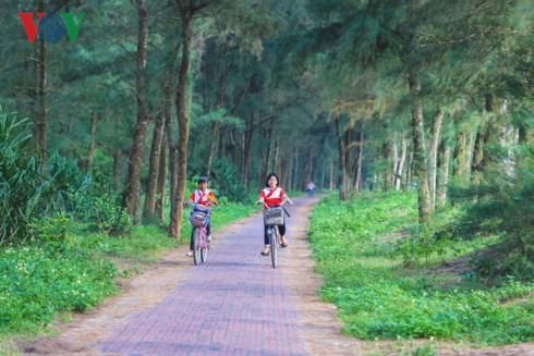  Con đường Tình yêu là con đường nhỏ thẳng tắp nằm giữa hai hàng phi lao cao vút, luôn rì rào tiếng sóng biển. Du khách sẽ khó có thể quên cảm giác tuyệt vời khi đạp xe hoặc dạo bộ trong buổi chiều lộng gió trên con đường này.