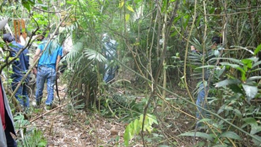 Ảnh minh họa Ảnh minh họa