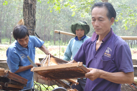 Ảnh: L.H Ảnh: L.H