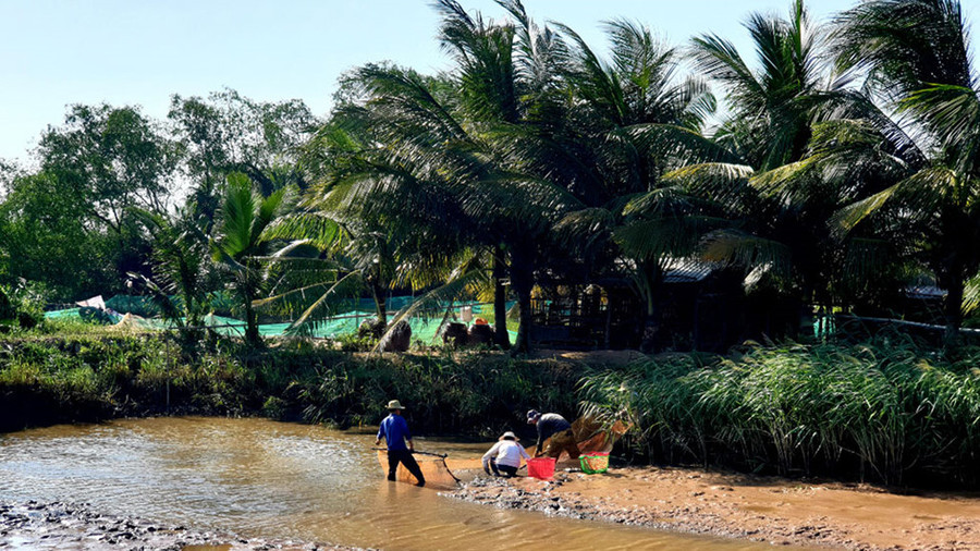 Ao được xả nước trước để bắt tôm cá