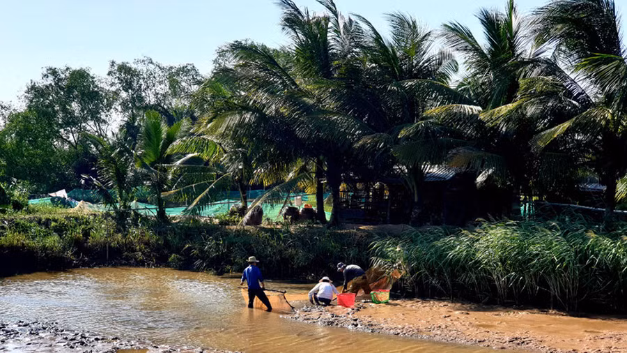 Ao được xả nước trước để bắt tôm cá