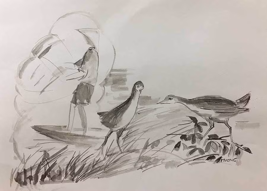  Minh họa: KIM HƯƠNG