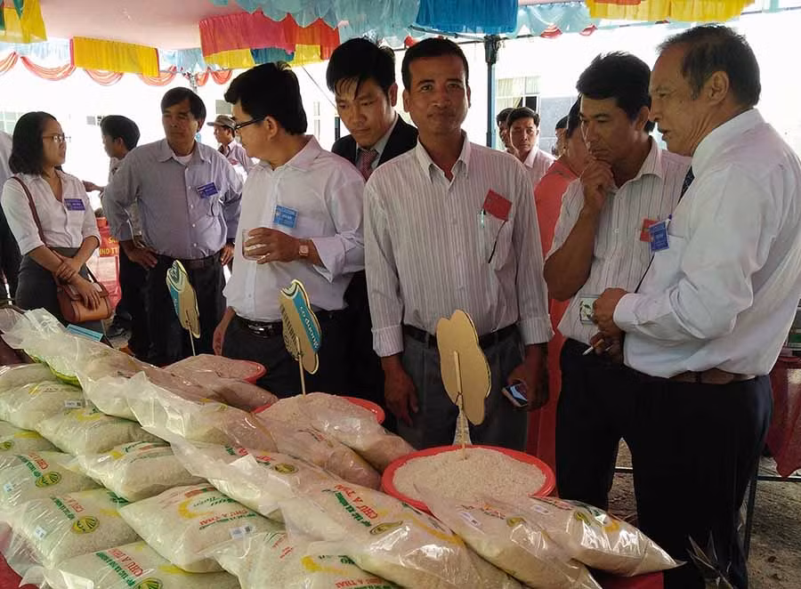 Sản phẩm gạo của Hợp tác xã Nông nghiệp Chư A Thai được trưng bày tại phiên chợ nông sản an toàn do UBND huyện Phú Thiện tổ chức. Ảnh: N.S