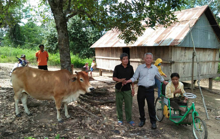 Ông Trương Đình Ba-Chủ tịch Hội Bảo trợ Người khuyết tật và Bảo vệ Quyền trẻ em tỉnh Gia Lai tặng bò sinh sản cho gia đình ông Đinh Trỡc ở làng Sơ Rơn, xã Chư Krey. Ảnh: Hà Phương