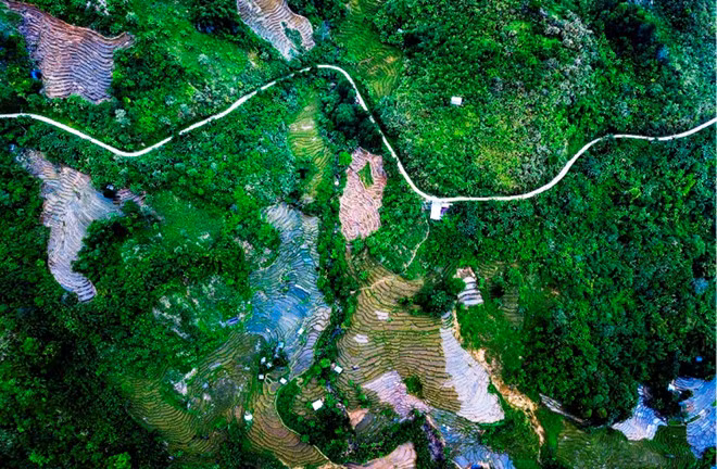  Với diện tích rừng nguyên sinh rộng lớn và vị trí đặc thù, khí hậu quanh năm mát mẻ, các huyện vùng cao ở Quảng Nam được ví như Đà Lạt ở miền Trung. Mỗi sáng sớm hoặc chiều muộn, núi rừng luôn được bao phủ bởi một lớp sương mù nhẹ, khiến không gian thêm bảng lảng trong cái se sắt của núi rừng - ẢNH: TUẤN TÚ