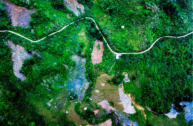  Với diện tích rừng nguyên sinh rộng lớn và vị trí đặc thù, khí hậu quanh năm mát mẻ, các huyện vùng cao ở Quảng Nam được ví như Đà Lạt ở miền Trung. Mỗi sáng sớm hoặc chiều muộn, núi rừng luôn được bao phủ bởi một lớp sương mù nhẹ, khiến không gian thêm bảng lảng trong cái se sắt của núi rừng - ẢNH: TUẤN TÚ