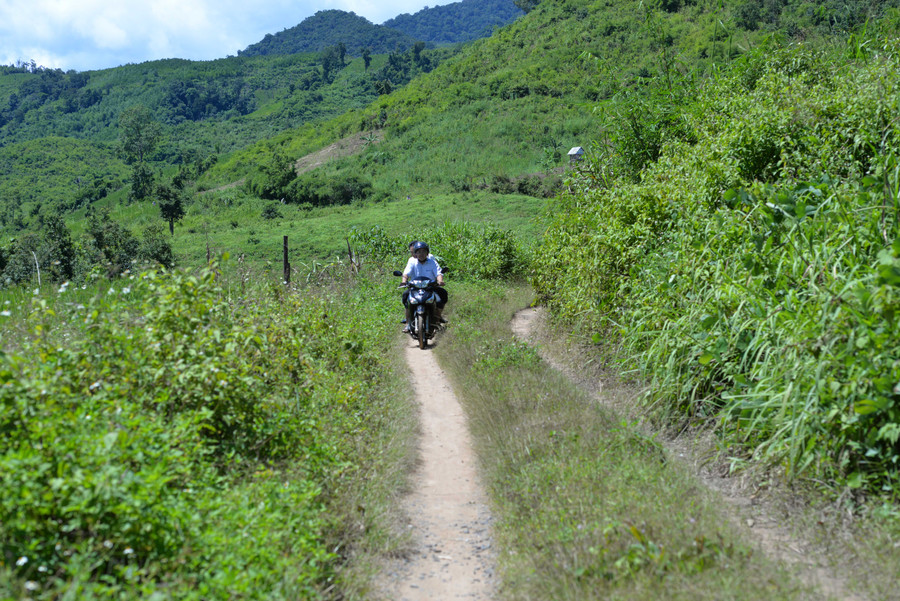 Ảnh minh họa. M.T