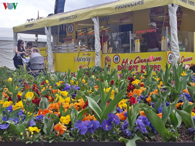 Thông thường tại các lễ hội hoa thường có các quầy bán đồ ăn để những người khách vừa ngắm hoa, vừa nhâm nhi cốc cà phê hay một vài món ăn nhanh.