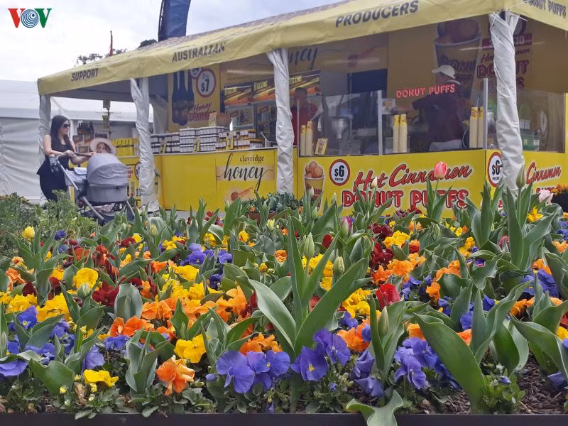 Thông thường tại các lễ hội hoa thường có các quầy bán đồ ăn để những người khách vừa ngắm hoa, vừa nhâm nhi cốc cà phê hay một vài món ăn nhanh.