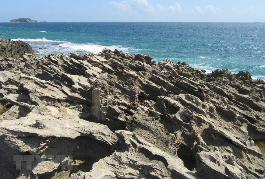 Rạn san hô cổ hóa thạch do sóng biển bào mòn tạo thành nhiều hình dáng lạ mắt. (Ảnh: Nguyễn Thành/TTXVN) Rạn san hô cổ hóa thạch do sóng biển bào mòn tạo thành nhiều hình dáng lạ mắt. (Ảnh: Nguyễn Thành/TTXVN)