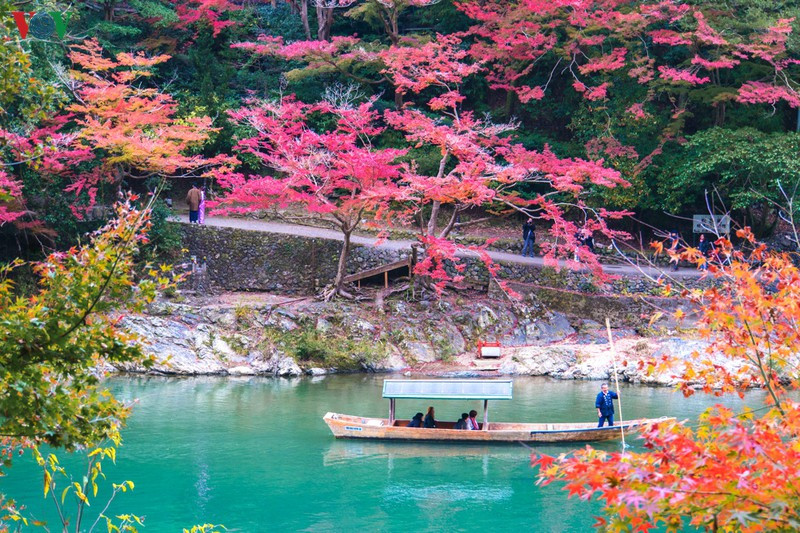 Lênh đênh giữa dòng nước xanh ngắt và ngắm nhìn cảnh sắc tuyệt mỹ hai bên bờ, nơi những tán lá phong đỏ rực nghiêng mình xuống mặt nước. Lênh đênh giữa dòng nước xanh ngắt và ngắm nhìn cảnh sắc tuyệt mỹ hai bên bờ, nơi những tán lá phong đỏ rực nghiêng mình xuống mặt nước.