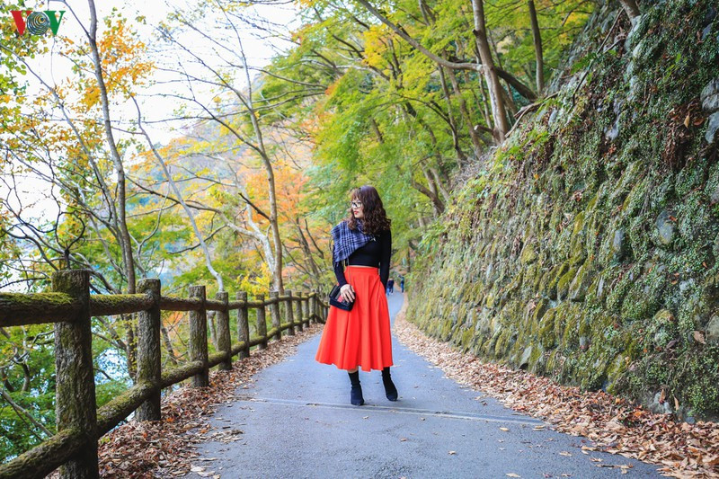 Đi dưới những tán lá thu trong không khí tĩnh lặng là một trải nghiệm đáng giá và đầy sức quyến rũ. Đi dưới những tán lá thu trong không khí tĩnh lặng là một trải nghiệm đáng giá và đầy sức quyến rũ.