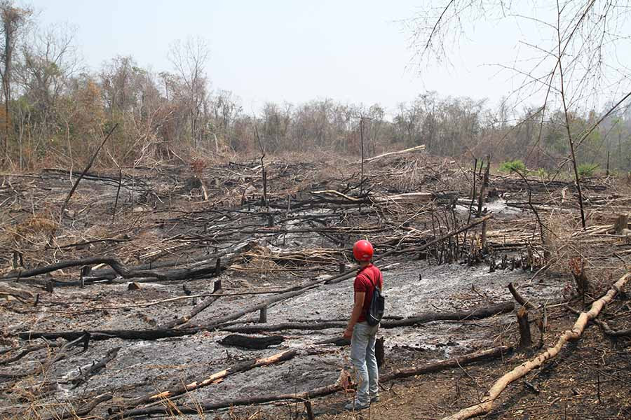Một diện tích rừng bị phá tại Ban Quản lý rừng phòng hộ Nam Sông Ba. Ảnh: V.N