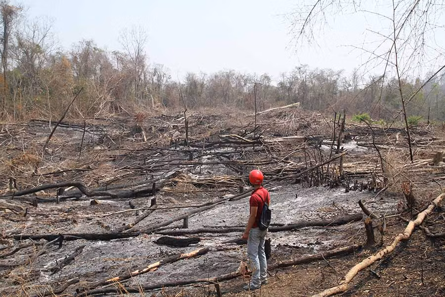 Một diện tích rừng bị phá tại Ban Quản lý rừng phòng hộ Nam Sông Ba. Ảnh: V.N