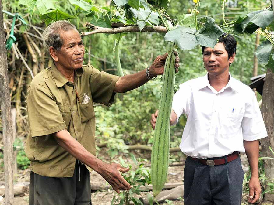 Người dân áp dụng khoa học kỹ thuật vào trồng trọt cho năng suất cao. Ảnh: N.T