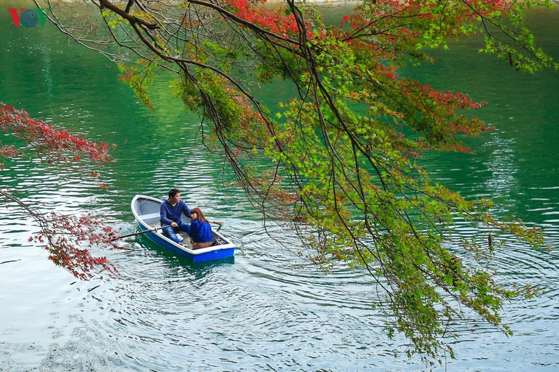 Khung cảnh cũng trở nên lãng mạn hơn khi có thêm các cặp đôi tự thuê thuyền vãn cảnh mùa thu. Khung cảnh cũng trở nên lãng mạn hơn khi có thêm các cặp đôi tự thuê thuyền vãn cảnh mùa thu.