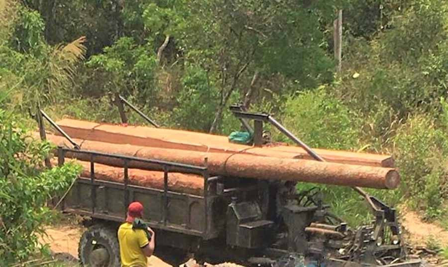  Phương tiện và số gỗ trái phép tại hiện trường. Ảnh: An Nhân