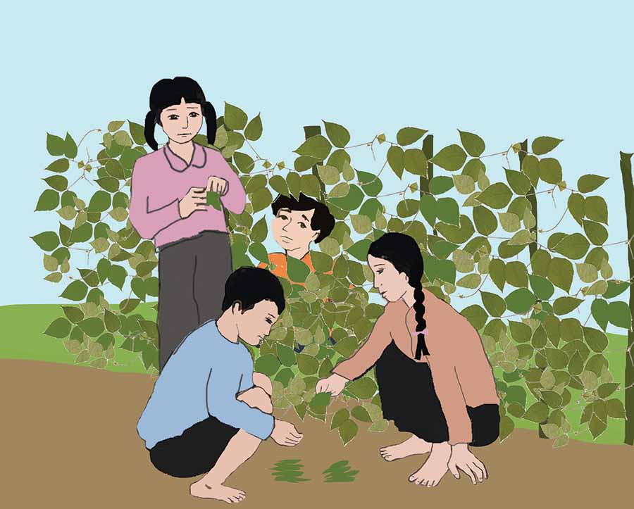  Minh họa: HUYỀN TRANG