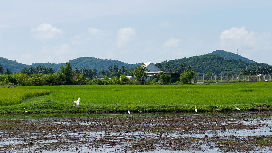  ... có thửa cạn nước