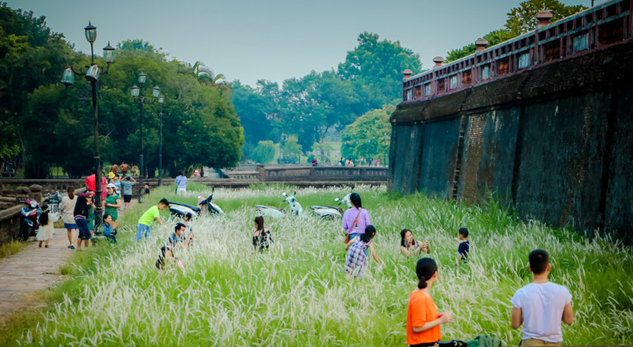 Bên tường thành cổ kính, những vạt cỏ tranh có bông trắng tinh khôi càng tôn lên vẻ đẹp cho thành quách Huế, ẩn hiện trong đó chút mơ hồ, chút lãng mạn, chút trầm tư…