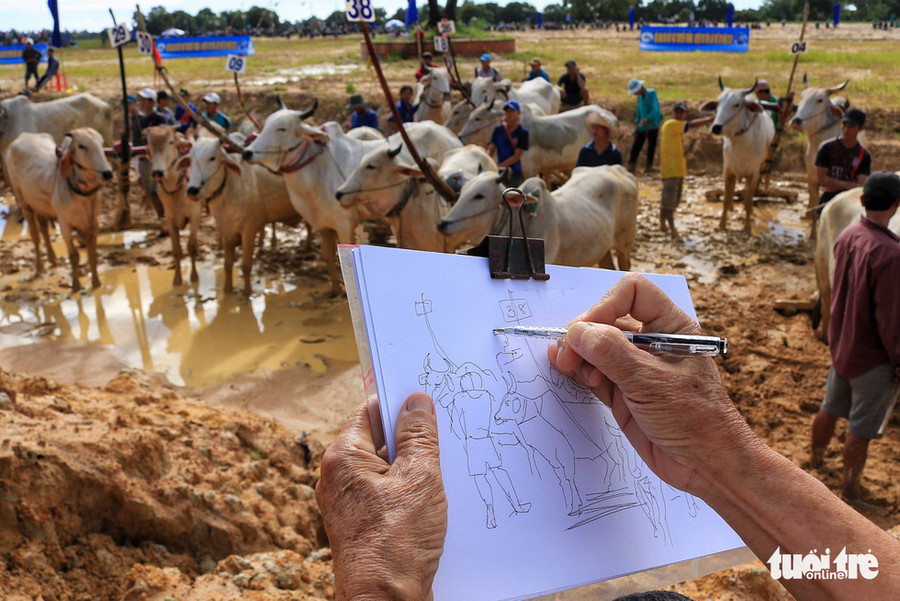 Đua bò cũng là một nét đẹp văn hóa của người dân An Giang - Ảnh: NGUYỆT NHI