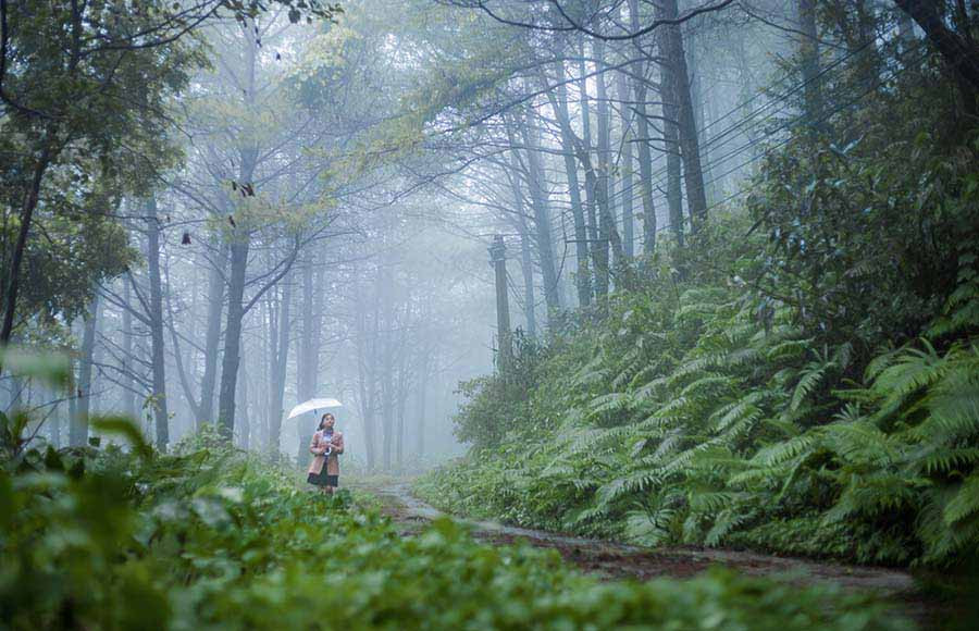  Mưa trên đỉnh Hàm Rồng (TP. Pleiku). Ảnh: internet