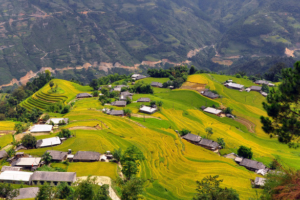 Ruộng bậc thang bản Phùng, Hoàng Su Phì, Hà Giang - Ảnh: TRẦN THẾ DŨNG Ruộng bậc thang bản Phùng, Hoàng Su Phì, Hà Giang - Ảnh: TRẦN THẾ DŨNG