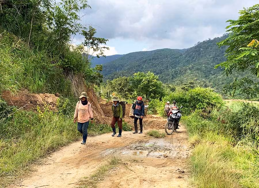 Đường vào Khu du lịch sinh thái đồi thông Hà Tam vẫn là một con đường đất chưa được đầu tư bài bản. Ảnh: PL