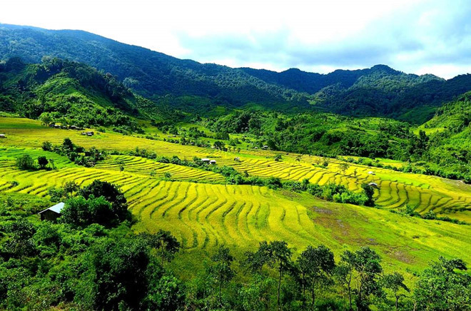  Ruộng lúa bậc thang, một trong những nét đẹp quyển rũ ở các huyện vùng cao Quảng Nam - ẢNH: TUẤN TÚ