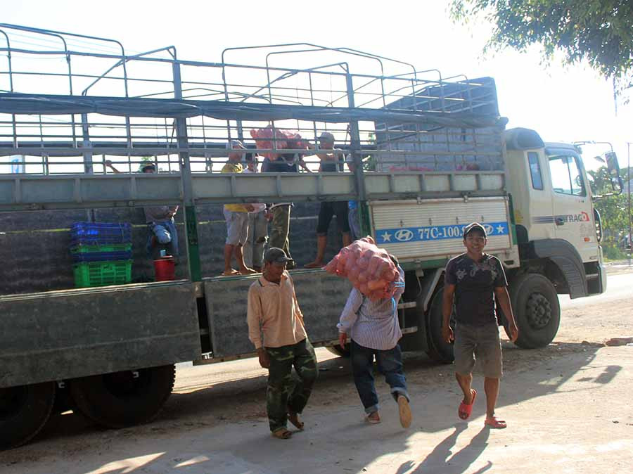 Một phương tiện vận chuyển rau quả chuẩn bị xuất bến ra tiêu thụ tại Đà Nẵng. Ảnh: N.D