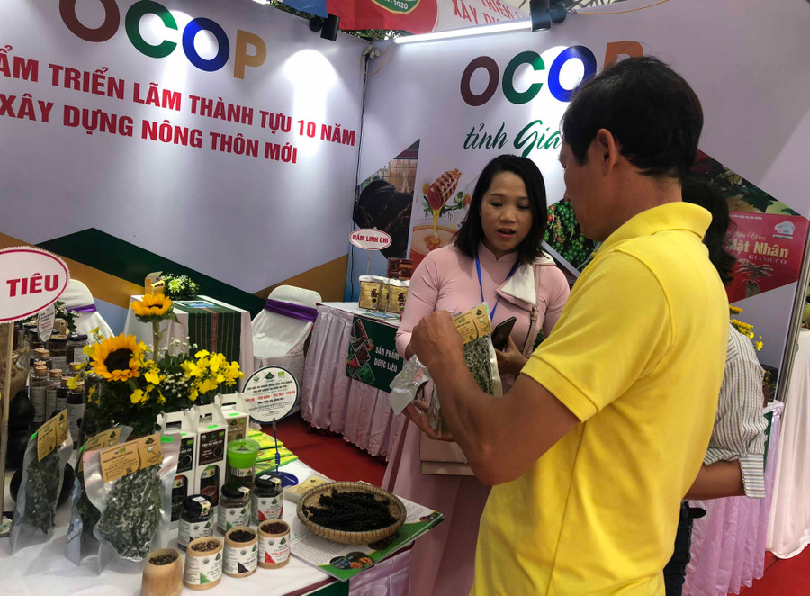 Đoàn công tác của tỉnh gia lai đến thăm gian hàng triển lãm 