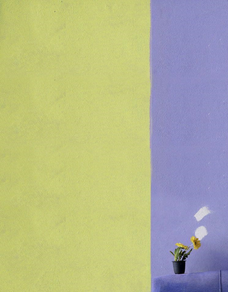  Sony World Photography Awards là một cuộc thi ảnh quốc tế uy tín do Tổ chức Nhiếp ảnh Thế giới (WPO) tổ chức (Ảnh: Sony World Photography Awards 2020)