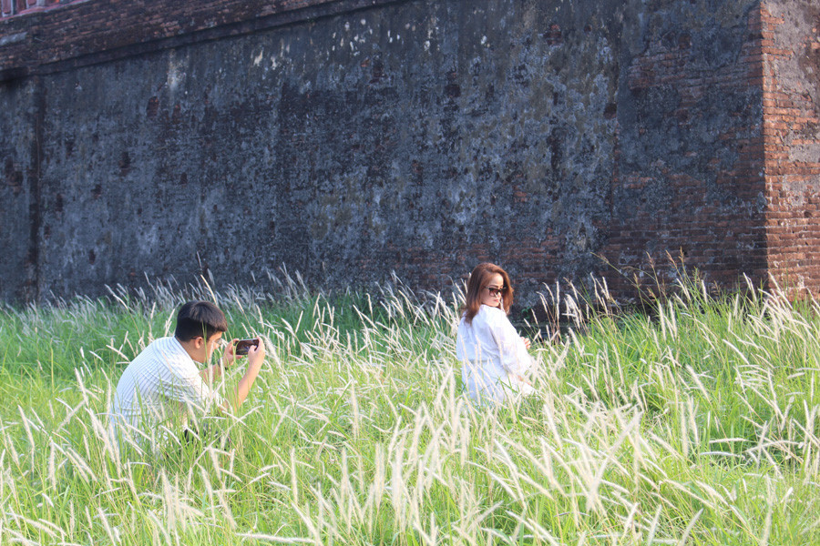 Nhiều người đến để lưu giữ khoảnh khắc đẹp trước khi hoa tàn.