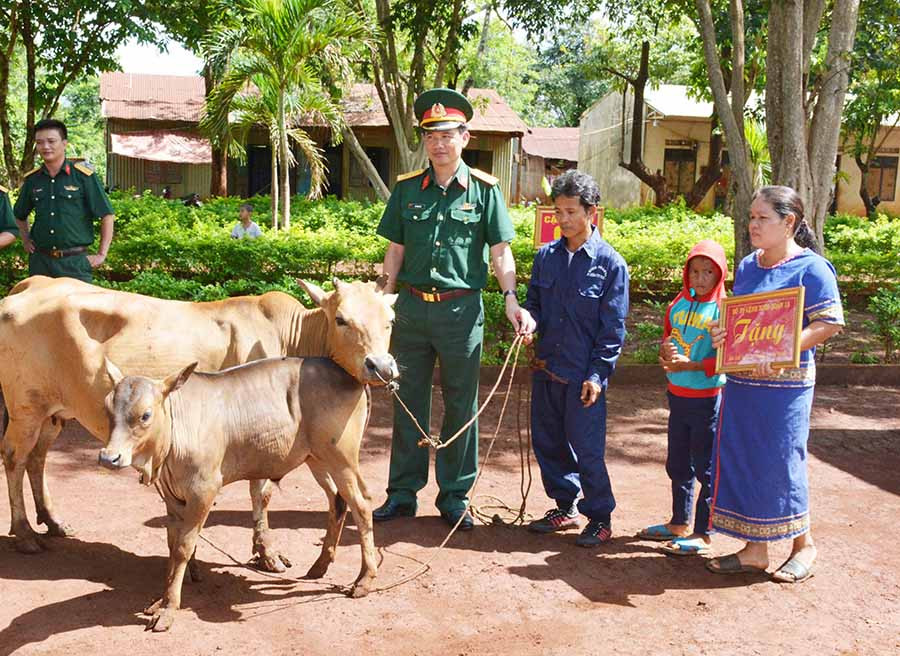  Đại diện Binh đoàn 15 trao bò sinh sản cho người dân tộc thiểu số ở huyện Ia Grai. Ảnh: Lê Quang