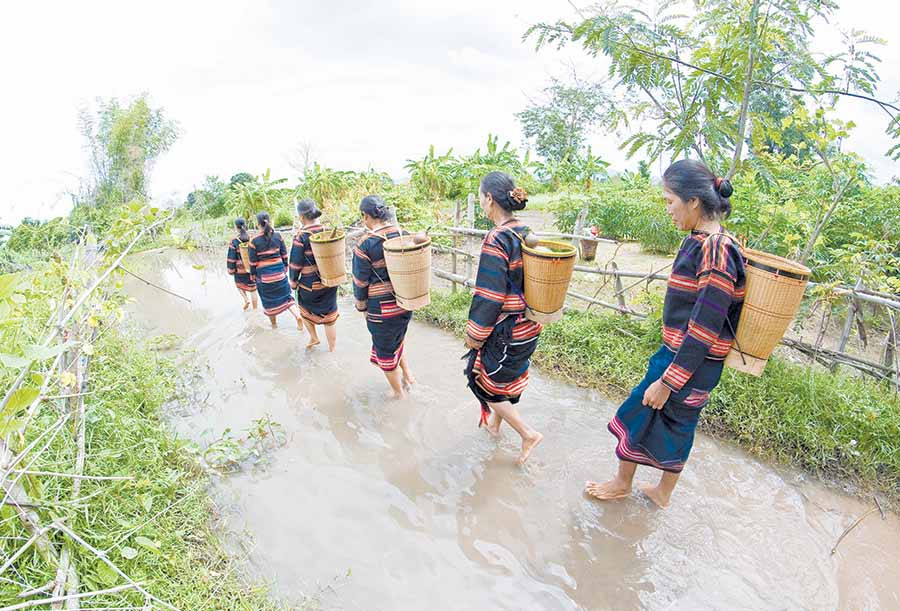  Ảnh minh họa: Huy Tịnh