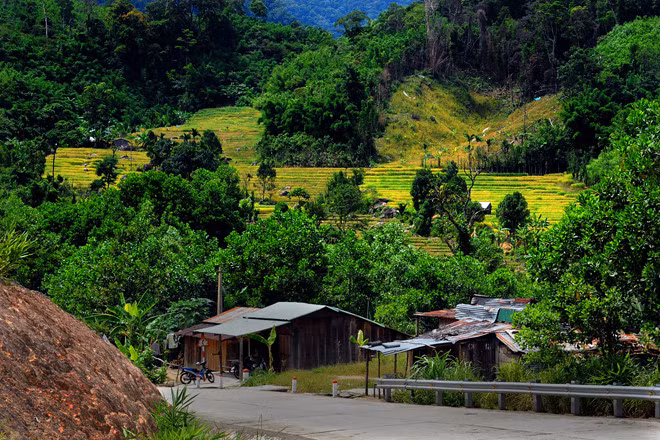 Một góc ngôi làng vùng cao Nam Trà My (Quảng Nam) cùng với dãy lúa chín bậc thang khi vào thu - ẢNH: TUẤN TÚ