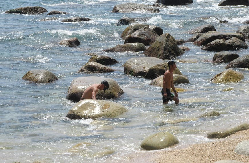  Vịnh Đá Trứng là địa điểm du lịch lý tưởng mới được nhiều du khách và các bạn trẻ tìm đến thưởng ngoạn, cũng như tham gia nhiều loại hình giải trí như leo núi, tắm biển, chèo thuyền câu cá, mực, lặn biển ngắm san hô và các loài thủy sinh, cắm trại qua đêm.