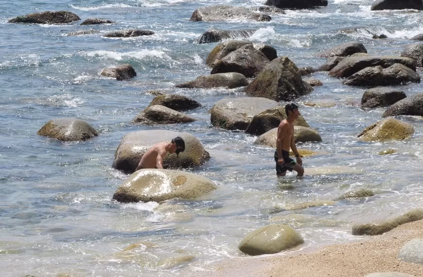  Vịnh Đá Trứng là địa điểm du lịch lý tưởng mới được nhiều du khách và các bạn trẻ tìm đến thưởng ngoạn, cũng như tham gia nhiều loại hình giải trí như leo núi, tắm biển, chèo thuyền câu cá, mực, lặn biển ngắm san hô và các loài thủy sinh, cắm trại qua đêm.