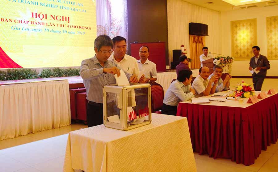 2Các đại biểu bỏ phiếu tín nhiệm bổ sung quy hoạch Ban Chấp hành Đảng bộ Khối nhiệm kỳ 2020-2025-ảnh PL