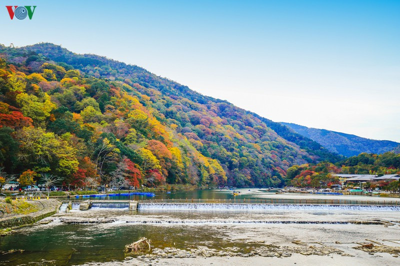 Kyoto được coi là một trong những nơi ngắm lá đỏ đẹp nhất nước Nhật, và Arashiyama (Núi Bão) chính là địa điểm đẹp bậc nhất của đất cố đô. Vùng núi thuộc quận ngoại ô phía Tây này rất thuận tiện để tham quan trong ngày từ trung tâm Kyoto. Kyoto được coi là một trong những nơi ngắm lá đỏ đẹp nhất nước Nhật, và Arashiyama (Núi Bão) chính là địa điểm đẹp bậc nhất của đất cố đô. Vùng núi thuộc quận ngoại ô phía Tây này rất thuận tiện để tham quan trong ngày từ trung tâm Kyoto.
