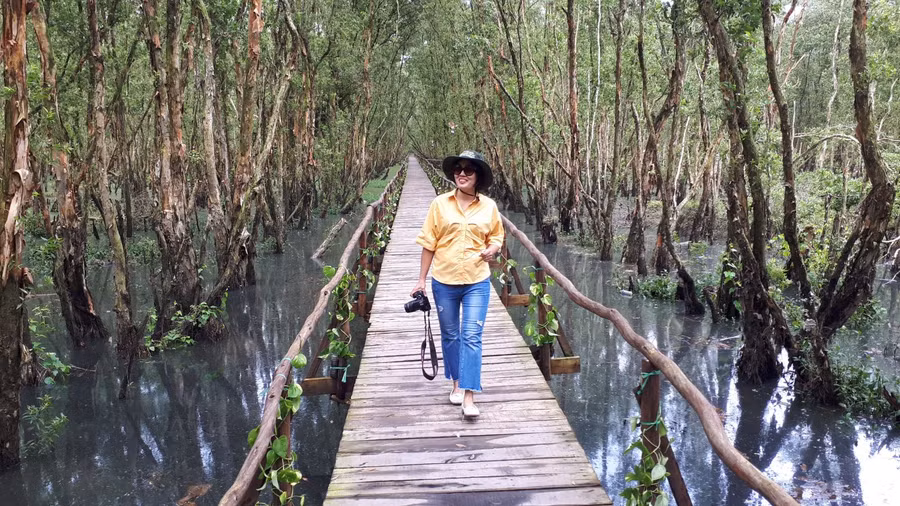 Cây cầu "tình yêu" ở rừng tràm Trà Sư (An Giang) là điểm check in sống ảo của nhiều bạn trẻ. Ảnh: XC/báo Tin tức Cây cầu