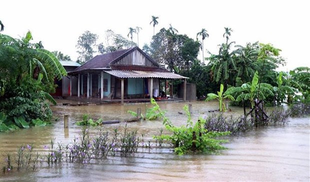  (Ảnh minh họa: Công Tường/TTXVN)