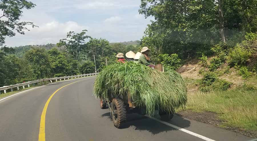 Ảnh: Gia Nguyễn Ảnh: Gia Nguyễn